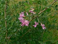 2010-07-09_08-15-40_0029