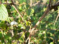 2011-09-01_17-16-06_0051