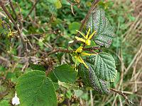 2011-09-07_09-58-54_0068