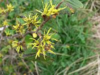2011-09-16_10-15-45_0041