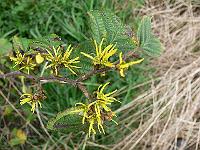 2011-09-16_10-15-55_0044