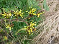 2011-09-16_10-16-16_0050
