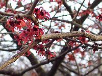 150105kodak_011