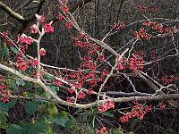 220105kodak_043