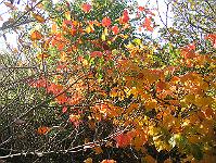 30-10-05canon_002