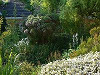 2009-06-30_18-22-57_0037