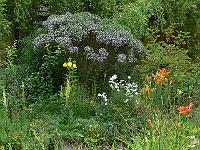 2009-07-01_08-11-38_0056