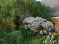 2010-07-05_18-14-52_0007