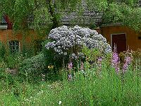 2010-07-09_09-02-06_0167