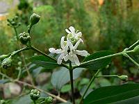 18-08-2007_12-35-06_04