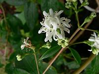 27-08-2007_14-16-12_40