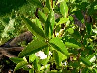 2010-08-12_07-59-37_0060