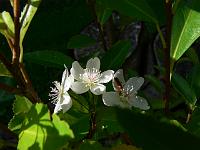 2010-08-13_09-10-57_0002