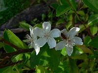2010-08-13_09-11-21_0006