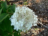 2009-07-31_18-19-30_0021