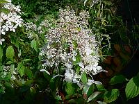 31-07-2007_15-44-52_31