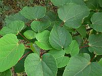2011-08-07_18-48-11_0013