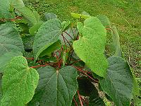 2011-08-10_16-11-13_0059