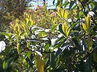 18-05-05kodak_110