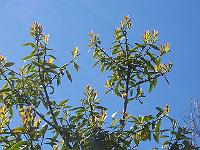 18-05-05kodak_113