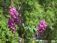 04-07-05kodak_343