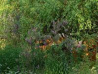 2009-06-30_18-00-30_0013