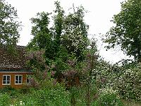 2009-07-01_08-27-41_0189