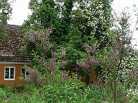 2009-07-01_08-28-38_0199