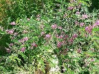2011-07-27_09-37-50_0071