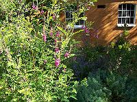 22-07-05kodak_060
