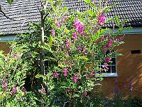 22-07-05kodak_065