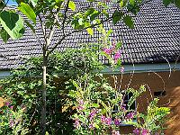 22-07-05kodak_066