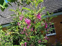 22-07-05kodak_067