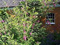 22-07-05kodak_069