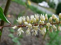 2008-07-06_09-14-34_0036