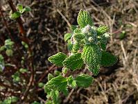 2011-04-20_07-46-11_0065
