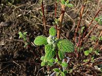 2011-04-20_07-46-24_0068