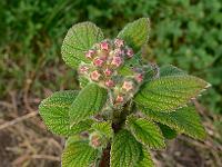 2011-04-27_15-52-07_0044
