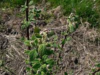 2011-05-08_09-14-40_0029