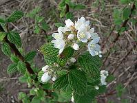 2011-05-20_08-06-33_0036