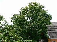 03-09-2007_17-24-08_06