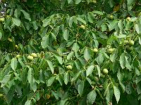 05-09-2007_11-19-27_107