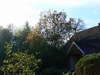 29-04-2007_19-34-12_54