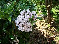 04-07-05kodak_059