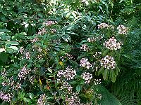 09-06-2007_18-47-57_02