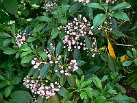 09-06-2007_18-48-19_08