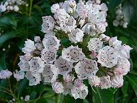 12-06-2007_19-33-50_63