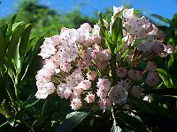 29-06-05kodak_115