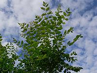 2010-08-02_08-05-51_0079