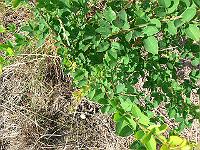 2011-07-20_09-38-09_0170